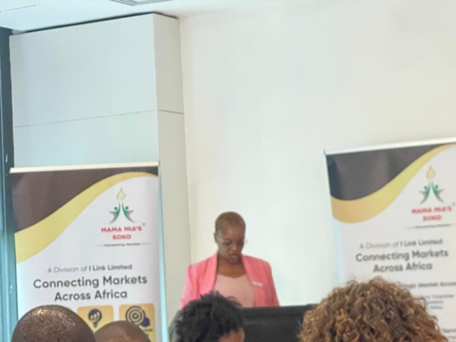 The convener addressing the room at the TEE launch